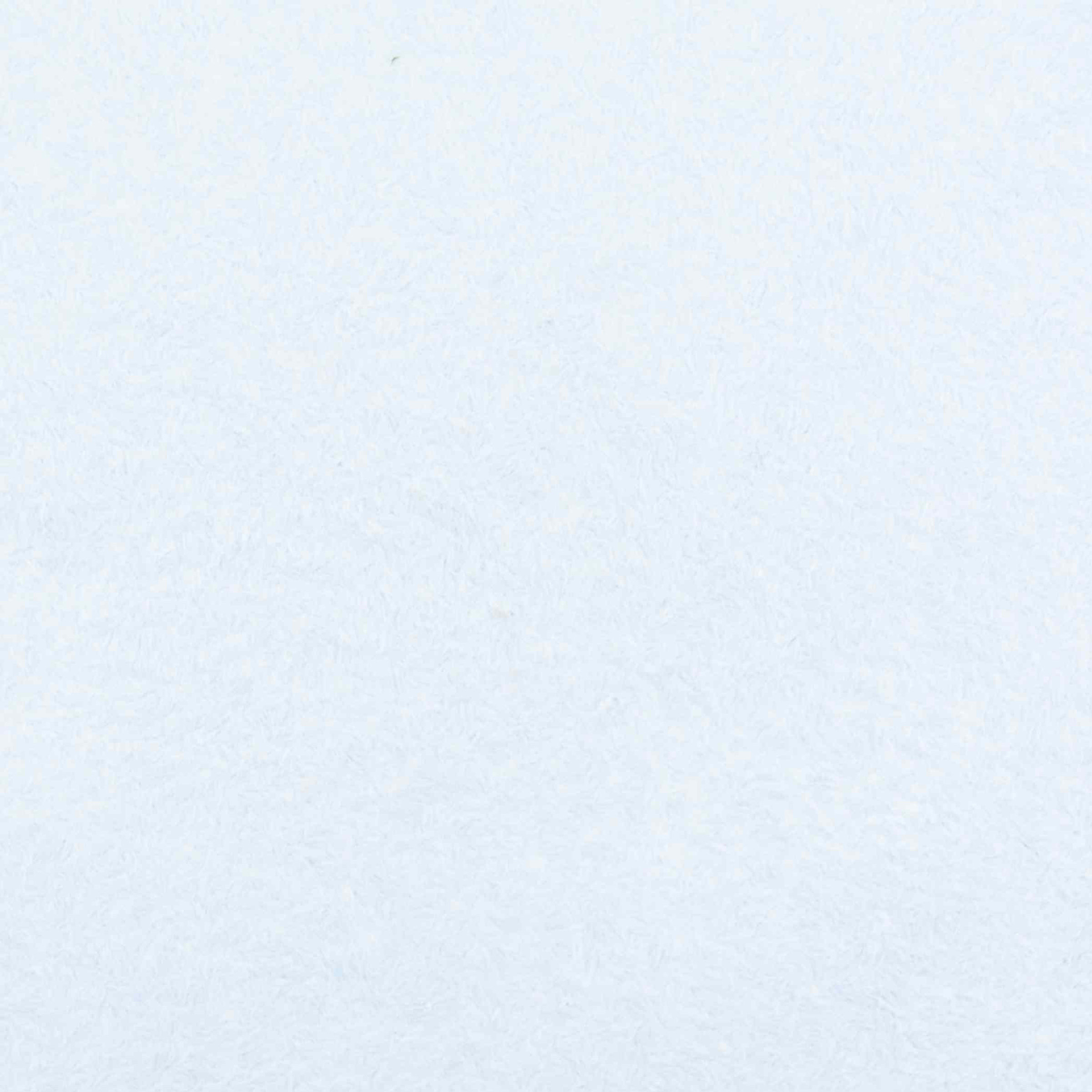     293